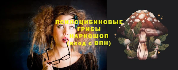 spice Алзамай