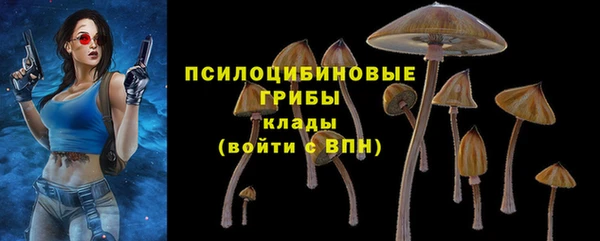spice Алзамай