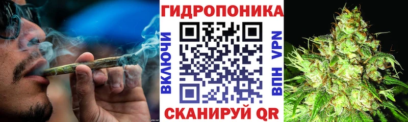 Шишки марихуана SATIVA & INDICA где продают наркотики Калязин